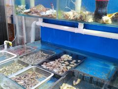 水产区-海帮主·蒸汽海鲜青岛菜(栈桥火车站店)
