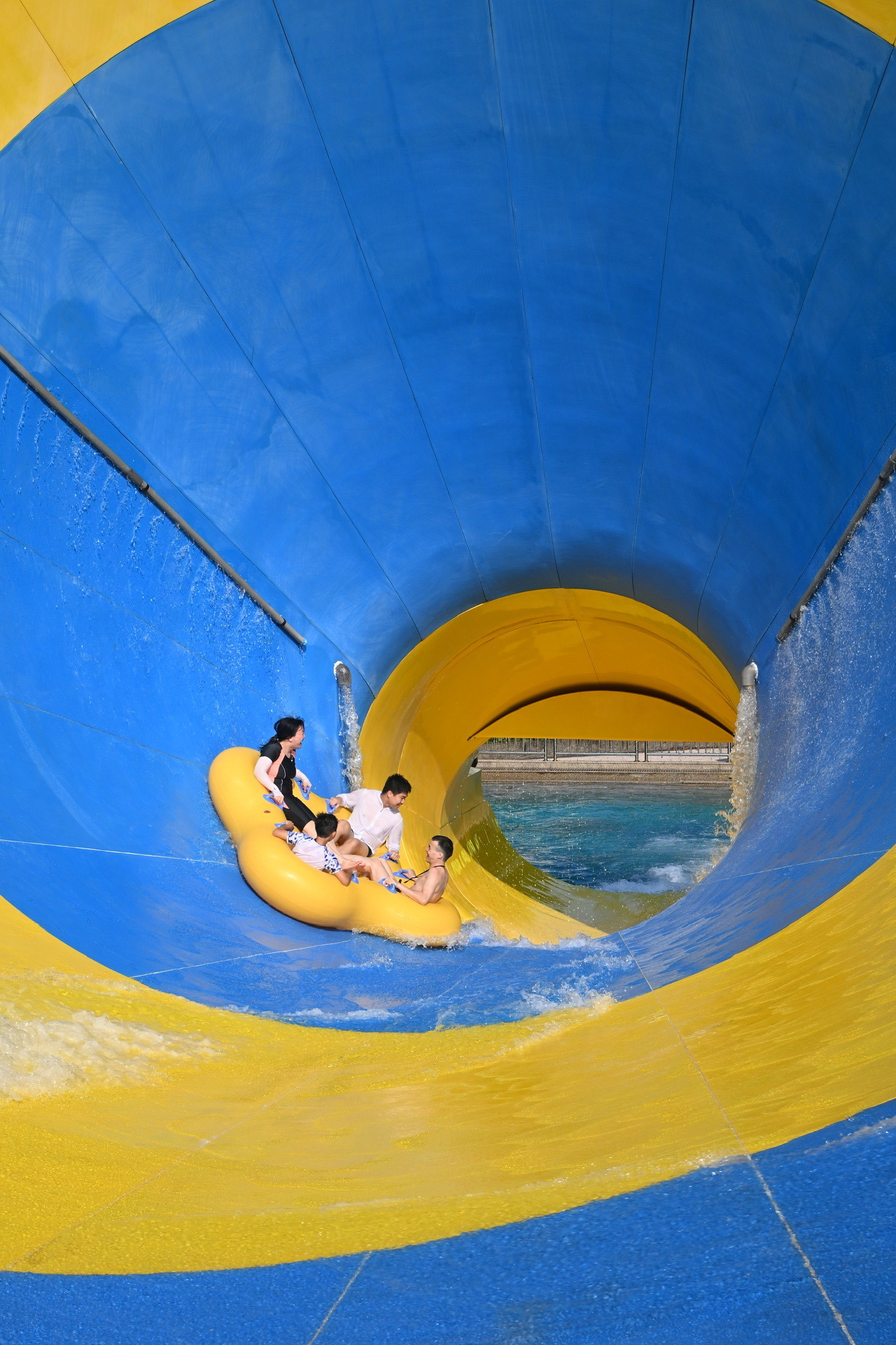 🪸爬山赏花来这里!