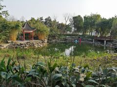 -大渡口区义渡公园
