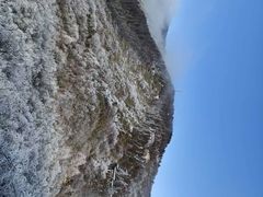 -南岳衡山风景名胜区-南岳大庙