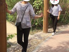 -武清南湖绿博园
