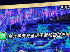 -金光华广场