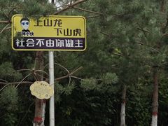 -横道河子东北虎林园