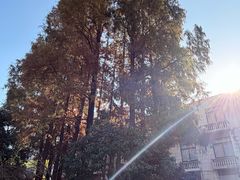 -沪东工人文化宫