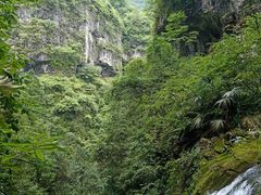 -鹿院坪生态旅游景区