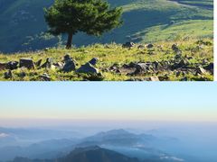 -灵山