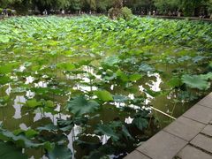 iphone_upload_pic-四川大学(华西校区)