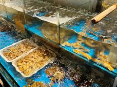 -争鲜·鲍鱼鸡煲(美邻中心店)