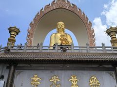 -庐山风景名胜区-东林大佛