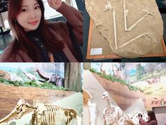 -柳州白莲洞洞穴科学博物馆