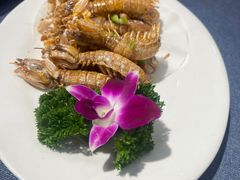 -石湖大酒店(桐泾店)