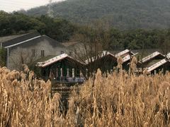 -西湖风景区-江洋畈生态公园