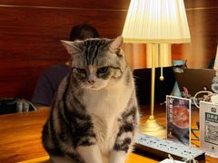 -咖法森林·咖啡  酒吧(天河店)