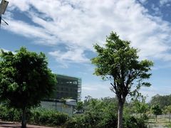 -江山半岛白浪滩景区