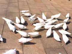 -人民广场