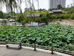 景点-紫荆山公园