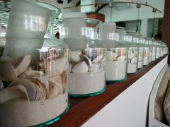 -中央格兰德岛温泉度假酒店 - 全包