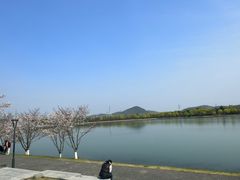 -羊山湖公园