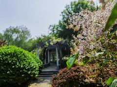 -东升八家郊野公园