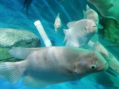 -泉州海丝野生动物世界