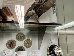 -纽瓦克自由国际机场