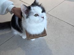 -怪兽屋·羊驼·猫咖·狗咖(俊华广场店)