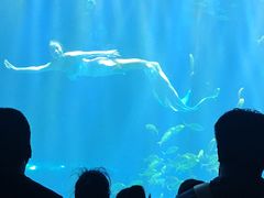 -华夏文旅西安度假区