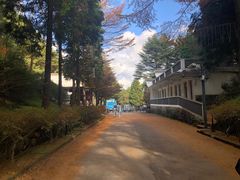 -四明山国家森林公园