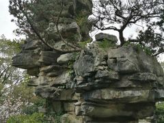 -南山植物园