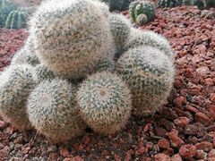 -南通洲际绿博园