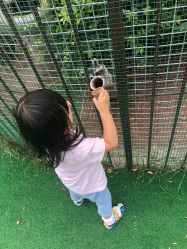 -萌宠亲子动物乐园(槐房万达店)