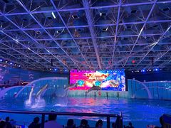 -海合安青岛极地海洋公园