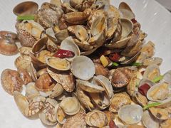 辣炒红岛新生蛤蜊-船歌·鱼水饺青岛菜(闽江二路店)