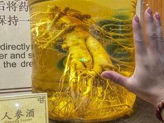-九江双蒸博物馆