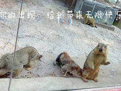 -北戴河集发农业梦想王国