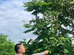 -白鹭湾湿地公园