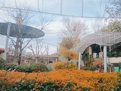 -杭州野生动物世界