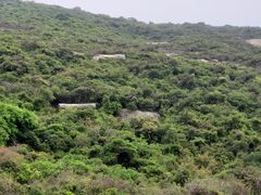 -蒲台岛