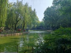 -西安市长乐公园