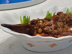 -丁老爷子苏香圆