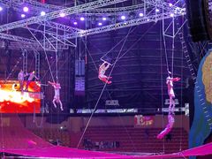 -俄罗斯国家大马戏团