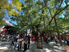 -浮来山风景区