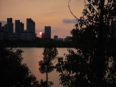 -明月东一酒店·菲斯特自助餐厅