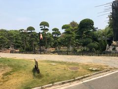 -武汉紫薇都市田园