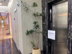 -上海首尔丽格医疗美容医院