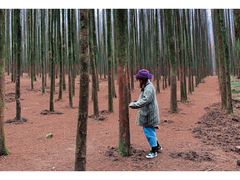 -山王坪喀斯特国家生态公园