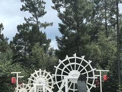 -五营红松林海景区