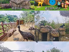 -佛冈森波拉度假区