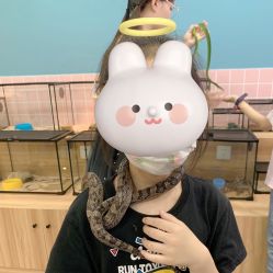 -Moni星球萌宠·小马宝莉·灵蛇·高端高阶全萌宠互动体验俱乐部(红豆国际广场店)