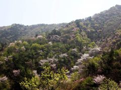 -茅兰沟国家森林公园